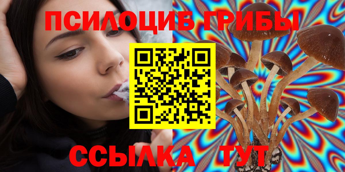 Сосновоборск  Псилоцибиновые грибы прущие грибы  Вход с VPN 
